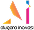 Business Analyst Functional Odoo