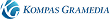 ERP Solution Analyst